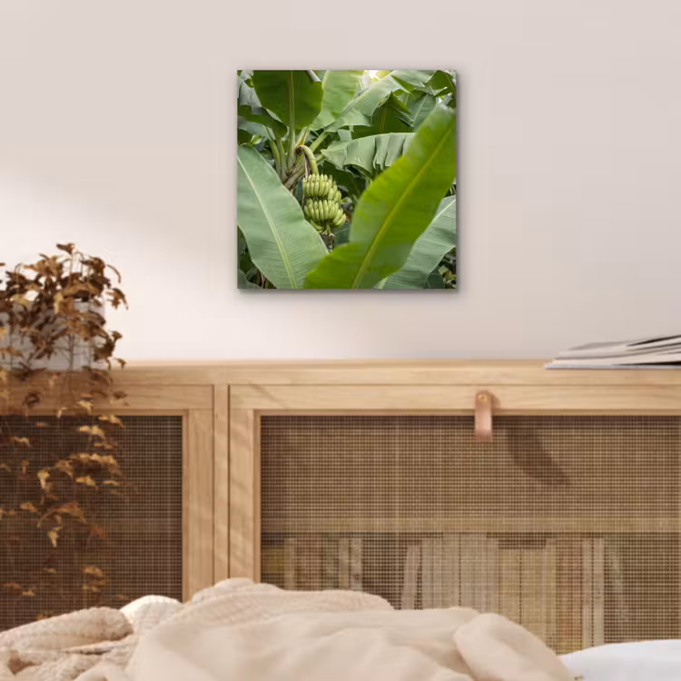 Eten - Bananen - Plantage - Groen aluminium wit klein -sfeer3