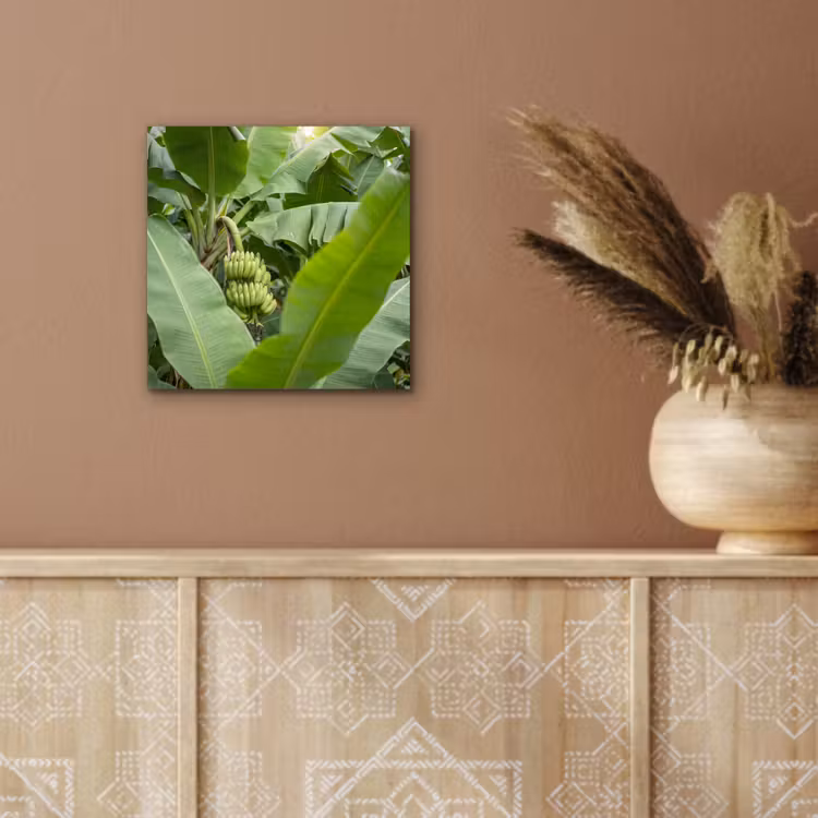 Eten - Bananen - Plantage - Groen aluminium wit klein -sfeer4