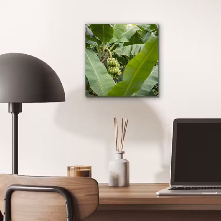 Eten - Bananen - Plantage - Groen aluminium wit klein -sfeer5