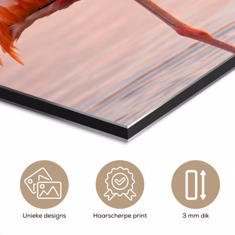 Flamingo - Water - Roze aluminium wit klein -closeup_NL