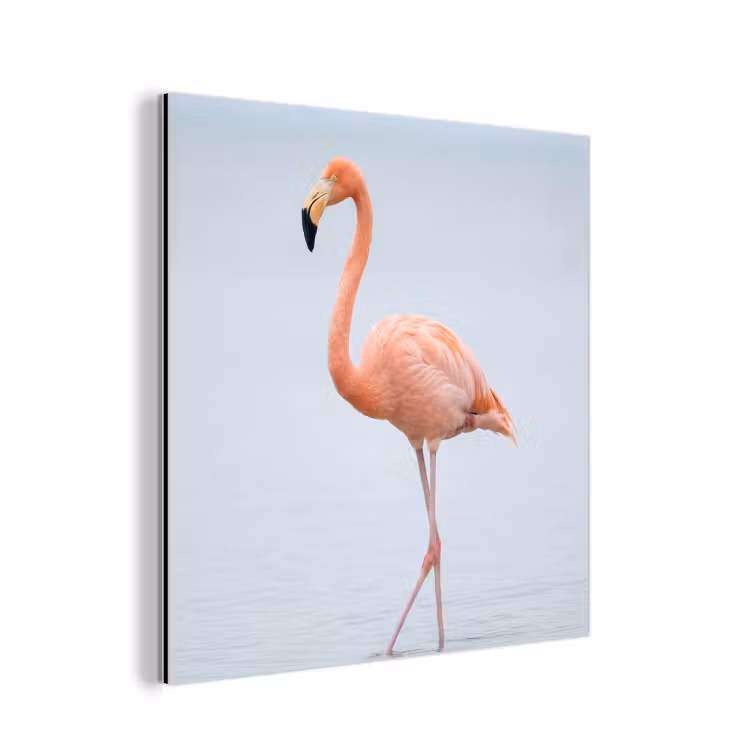 Flamingo - Zee - Roze aluminium wit klein -3d