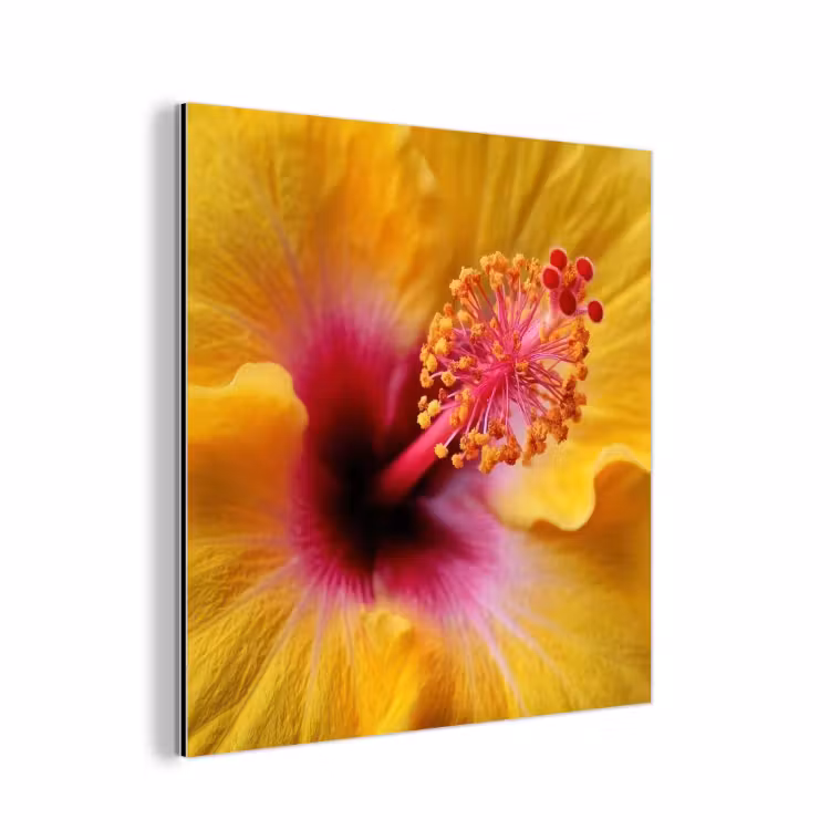 Geel - Hibiscus - Tropisch aluminium wit klein -3d