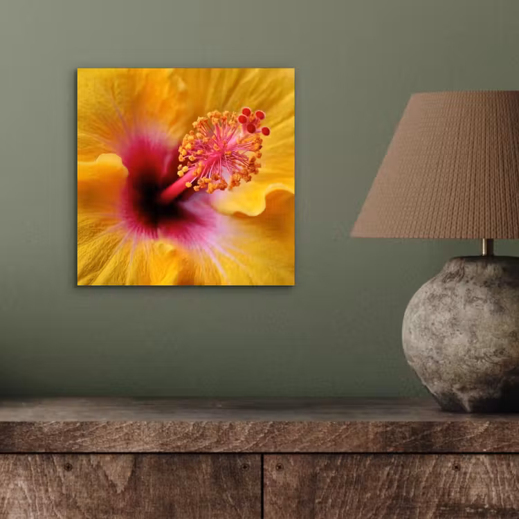 Geel - Hibiscus - Tropisch aluminium wit klein -sfeer2