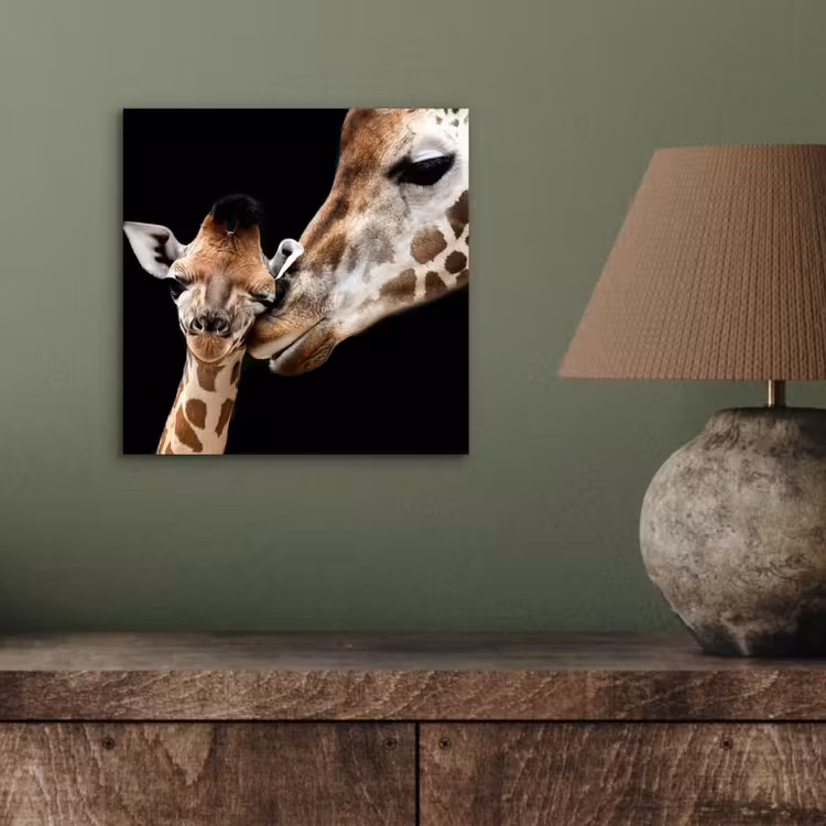 Giraffe - Dieren - Zwart - Portret - Dieren aluminium wit klein -sfeer2