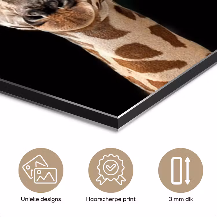 Giraffe - Dieren - Zwart - Portret - Dieren aluminium wit klein -closeup_NL