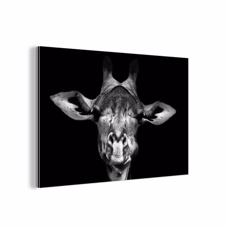 Giraffe - Portret - Dieren - Zwart - Wit aluminium wit klein -3d