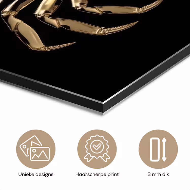 Goud - Krab - Dieren - Zwart aluminium wit klein -closeup_NL