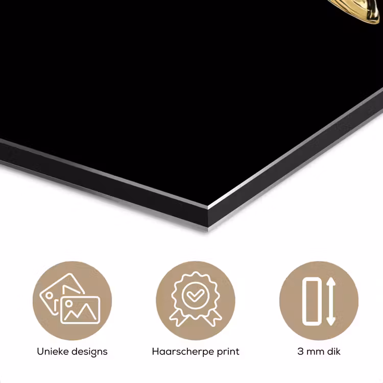 Goud - Vis - Haak - Zwart aluminium wit klein -closeup_NL