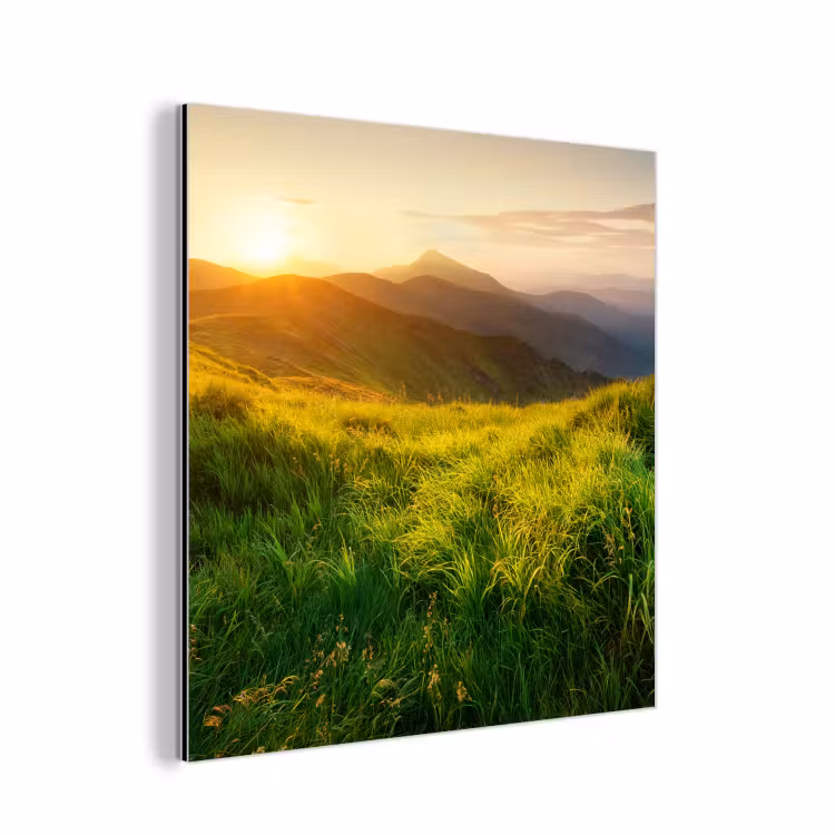 Gras - Heuvels - Zon - Natuur - Landschap aluminium wit klein -3d