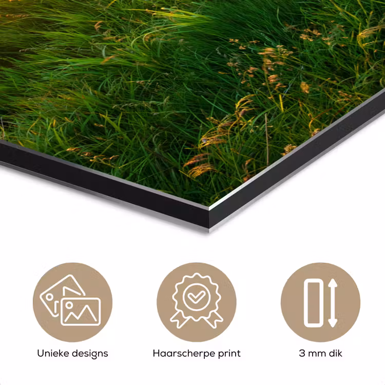 Gras - Heuvels - Zon - Natuur - Landschap aluminium wit klein -closeup_NL