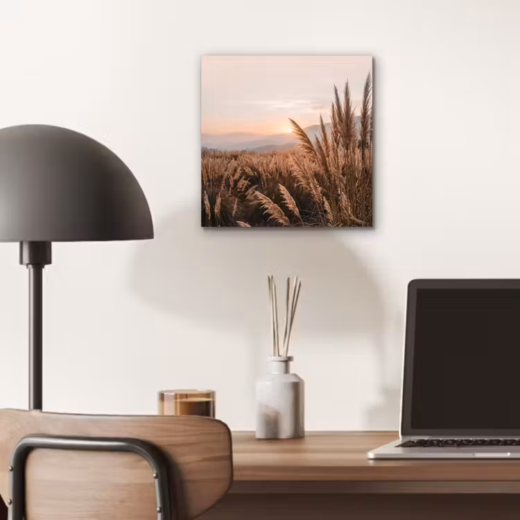 Gras - Veld - Zon - Natuur aluminium wit klein -sfeer5