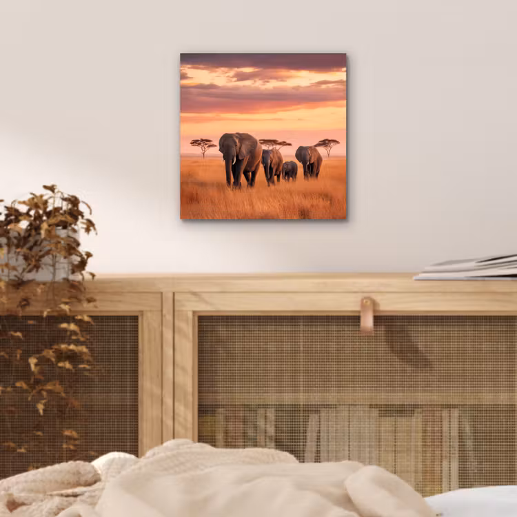 Groep olifanten - Open vlakte - Zon aluminium wit klein -sfeer3