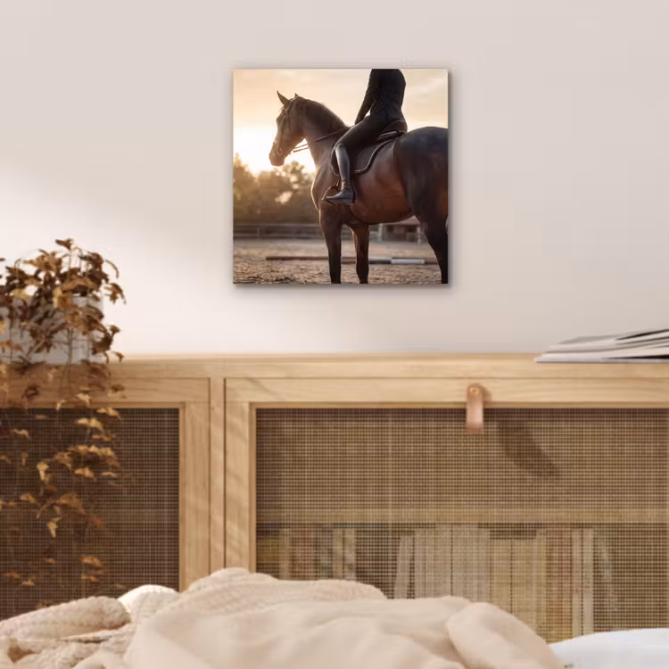 Harmonie - Ruiter - Zon aluminium wit klein -sfeer3