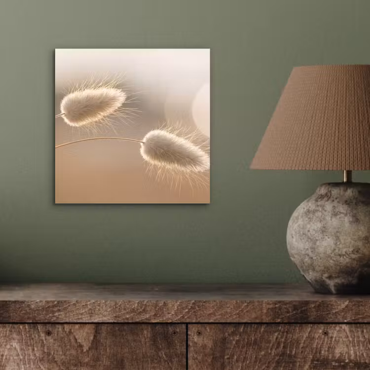 Hazestaartgras - Graanharen - Zonlicht aluminium wit klein -sfeer2