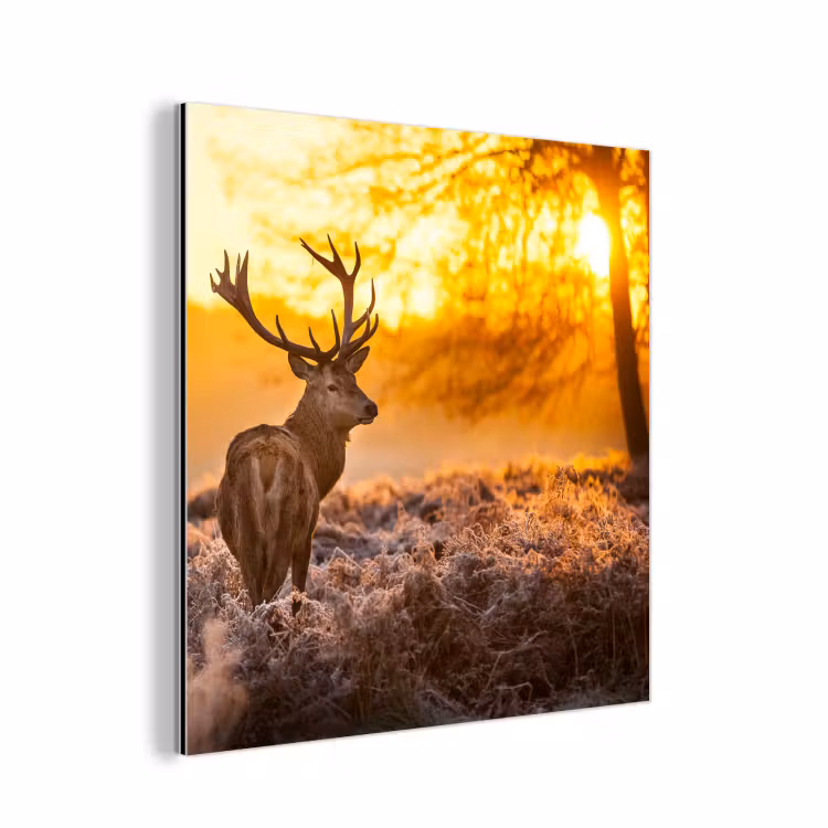 Hert - Dieren - Zonsondergang - Winter - Heide - Natuur aluminium wit klein -3d