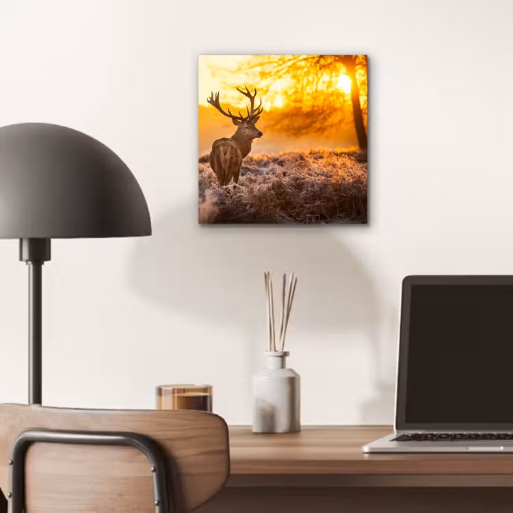 Hert - Dieren - Zonsondergang - Winter - Heide - Natuur aluminium wit klein -sfeer5