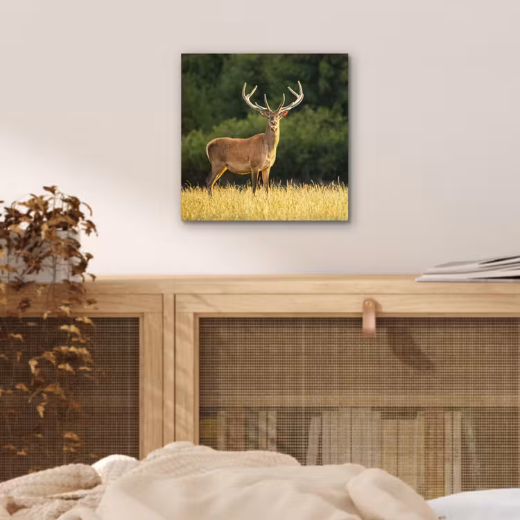 Hert - Gewei - Gras - Natuur - Dieren - Groen aluminium wit klein -sfeer3