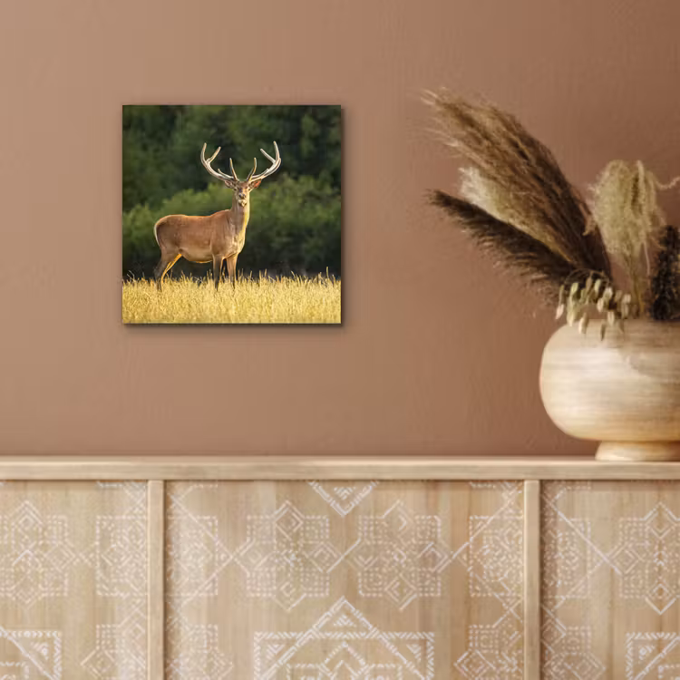 Hert - Gewei - Gras - Natuur - Dieren - Groen aluminium wit klein -sfeer4
