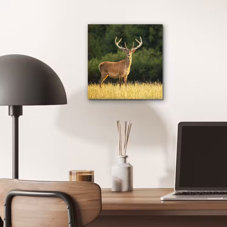 Hert - Gewei - Gras - Natuur - Dieren - Groen aluminium wit klein -sfeer5