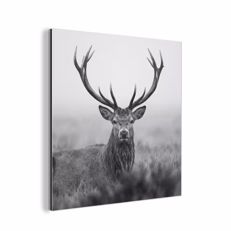 Hert - Mistig - Zwart - Wit aluminium wit klein -3d
