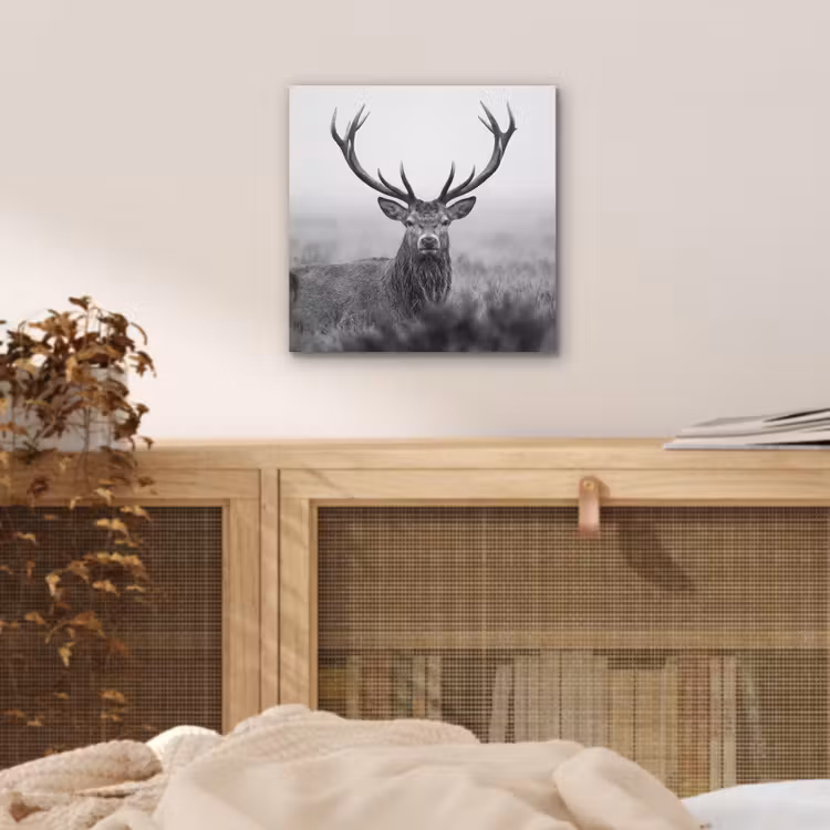 Hert - Mistig - Zwart - Wit aluminium wit klein -sfeer3