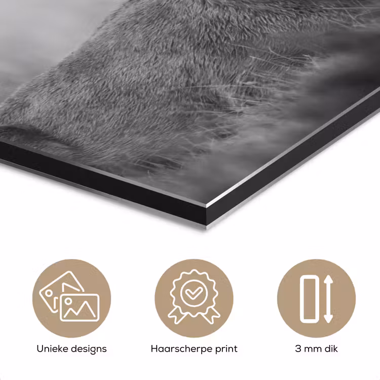 Hert - Mistig - Zwart - Wit aluminium wit klein -closeup_NL
