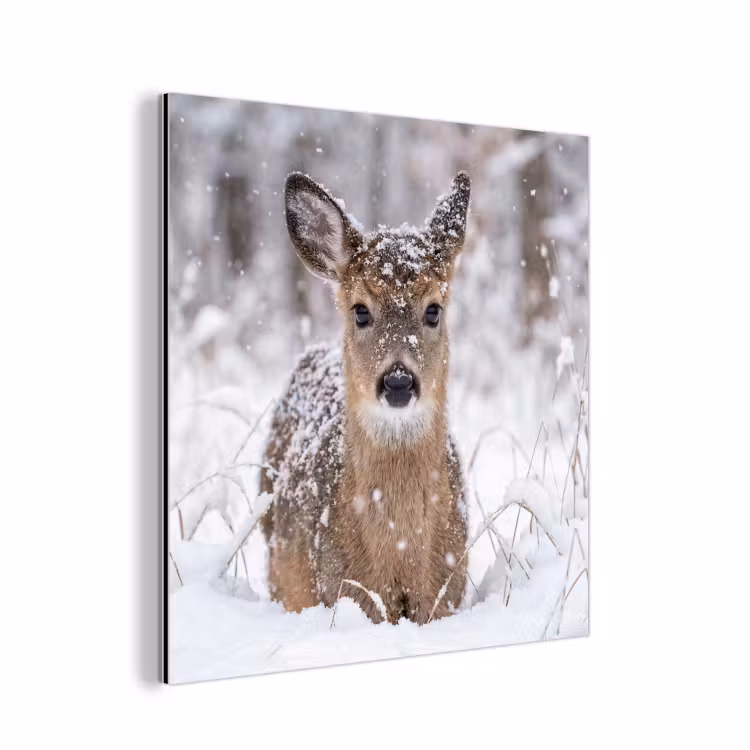 Hert - Sneeuw - Bos - Dieren - Vertederend aluminium wit klein -3d
