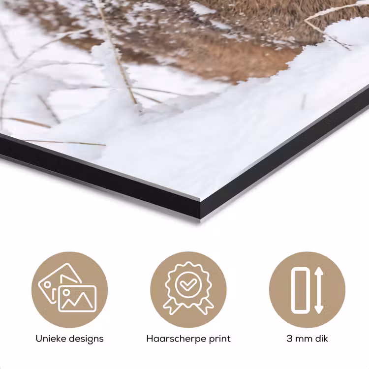 Hert - Sneeuw - Bos - Dieren - Vertederend aluminium wit klein -closeup_NL