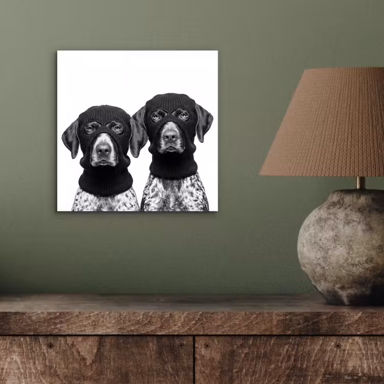 Honden - Bivakmuts - Zwart - wit aluminium wit klein -sfeer2