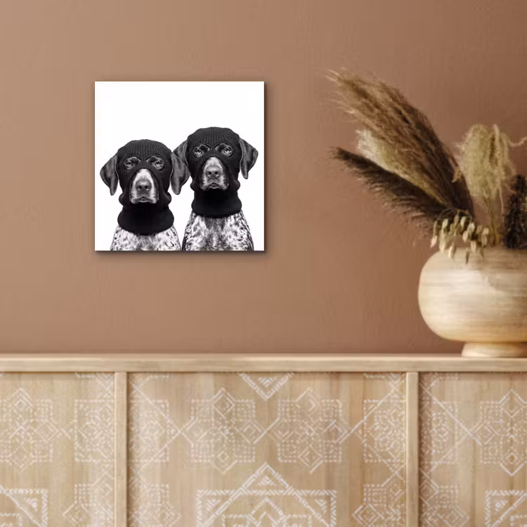 Honden - Bivakmuts - Zwart - wit aluminium wit klein -sfeer4