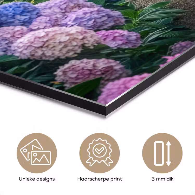 Hortensia- Park - Pad aluminium wit klein -closeup_NL