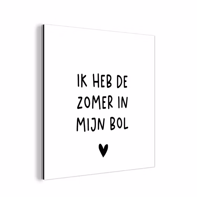Ik heb de zomer in mijn bol - André Hazes - Spreuken - Quotes aluminium wit klein -3d