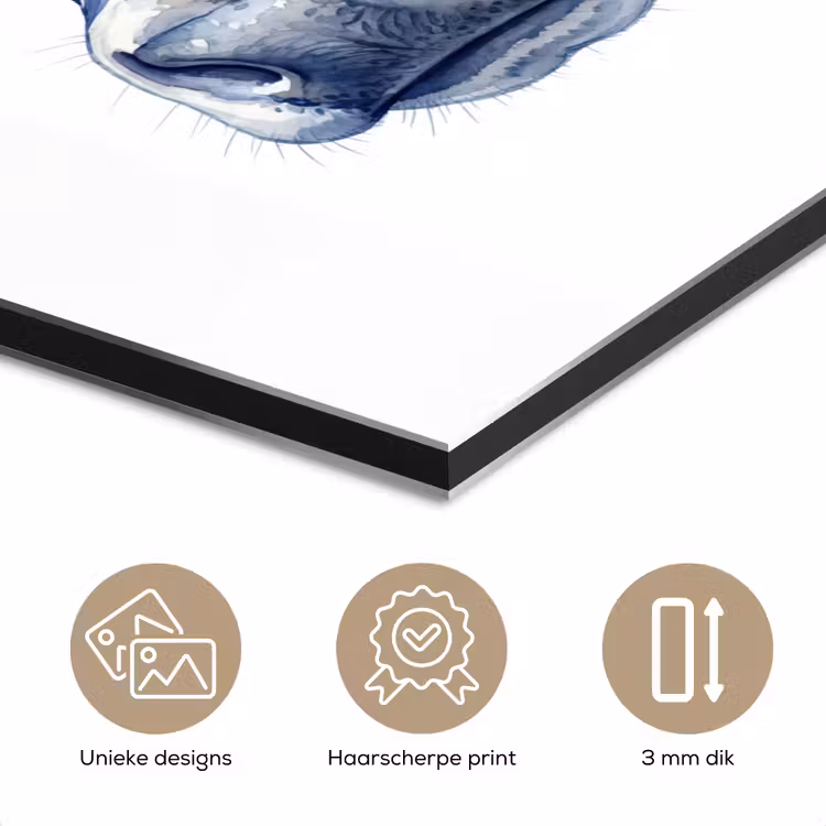 Illustratie - Koe - Blauw aluminium wit klein -closeup_NL