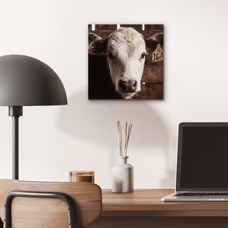 Kalf - Oormerk - Houten stal aluminium wit klein -sfeer5