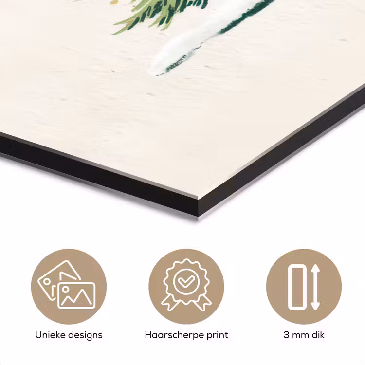 Kerstboom - Illustratie - Ster - Sneeuw aluminium wit klein -closeup_NL
