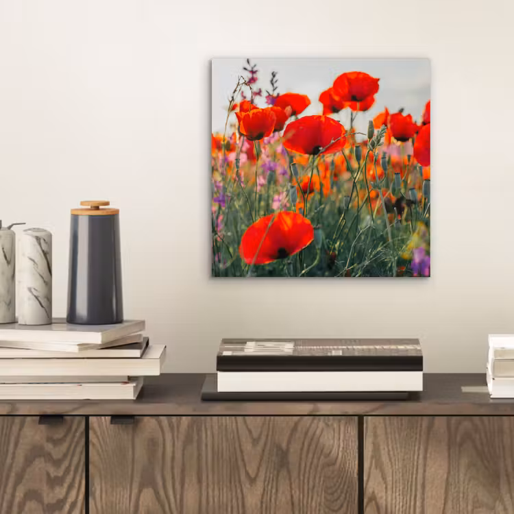Klaproos - Bloemen - Rood - Paars - Weide aluminium wit klein -sfeer1