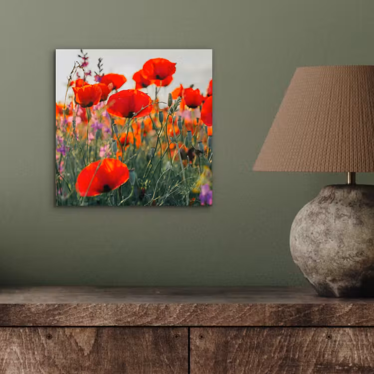 Klaproos - Bloemen - Rood - Paars - Weide aluminium wit klein -sfeer2