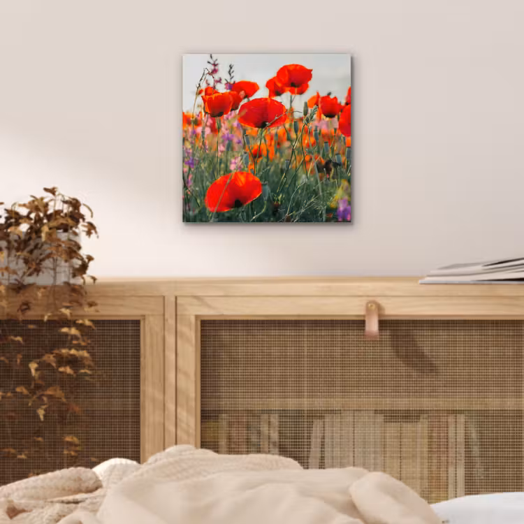 Klaproos - Bloemen - Rood - Paars - Weide aluminium wit klein -sfeer3