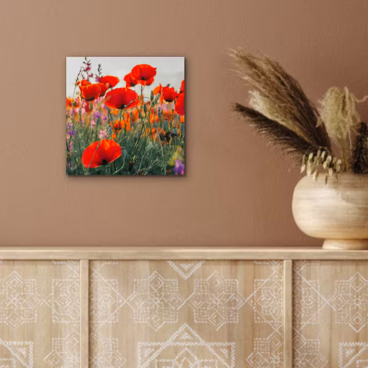 Klaproos - Bloemen - Rood - Paars - Weide aluminium wit klein -sfeer4