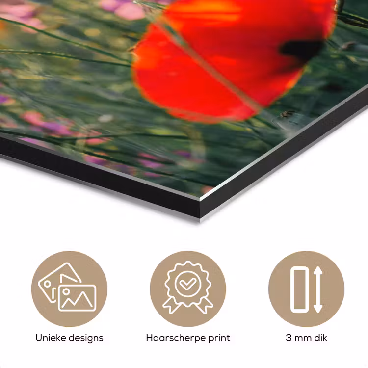 Klaproos - Bloemen - Rood - Paars - Weide aluminium wit klein -closeup_NL