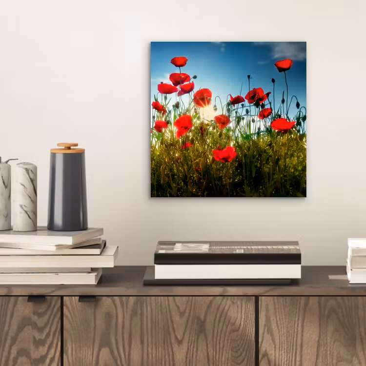 Klaprozen - Toscane - Zon - Rood - Blauw aluminium wit klein -sfeer1