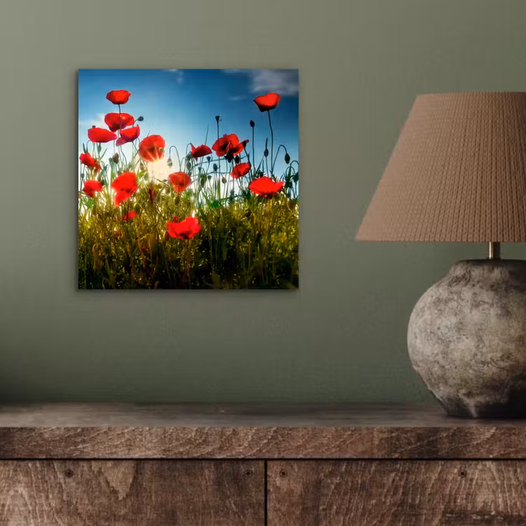 Klaprozen - Toscane - Zon - Rood - Blauw aluminium wit klein -sfeer2
