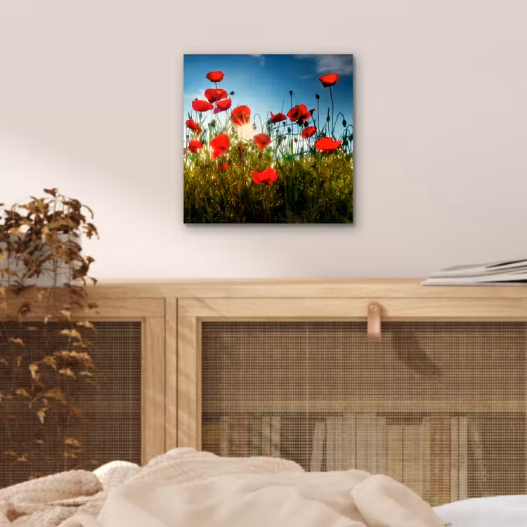 Klaprozen - Toscane - Zon - Rood - Blauw aluminium wit klein -sfeer3