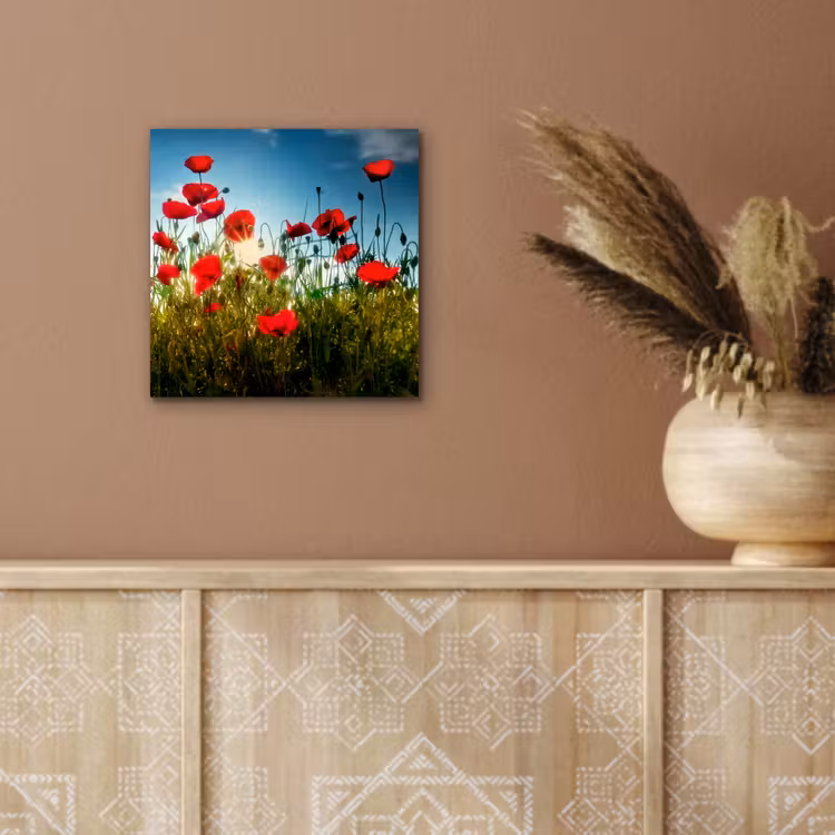 Klaprozen - Toscane - Zon - Rood - Blauw aluminium wit klein -sfeer4