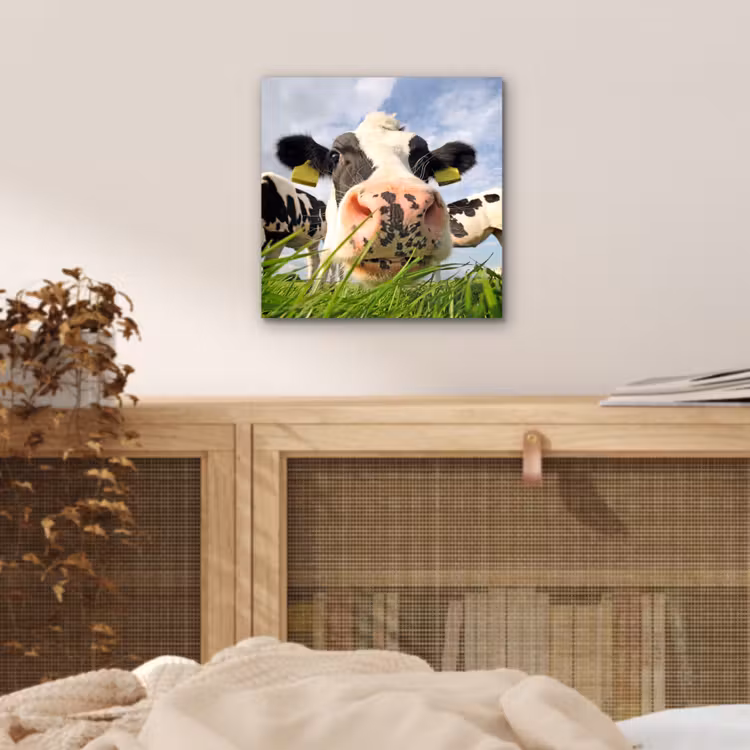 Koe - Boerderij - Gras - Dieren aluminium wit klein -sfeer3