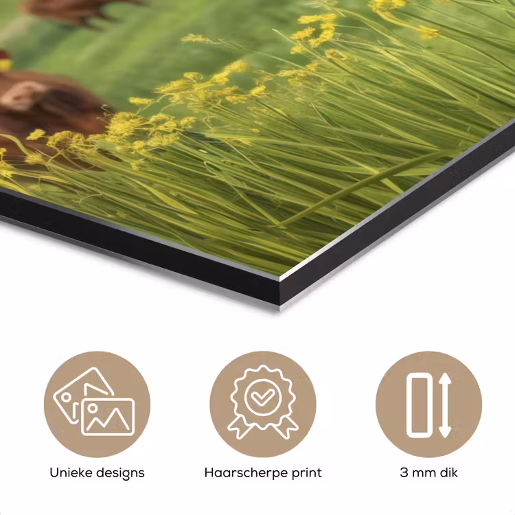 Koe - Weide - Bloemen aluminium wit klein -closeup_NL