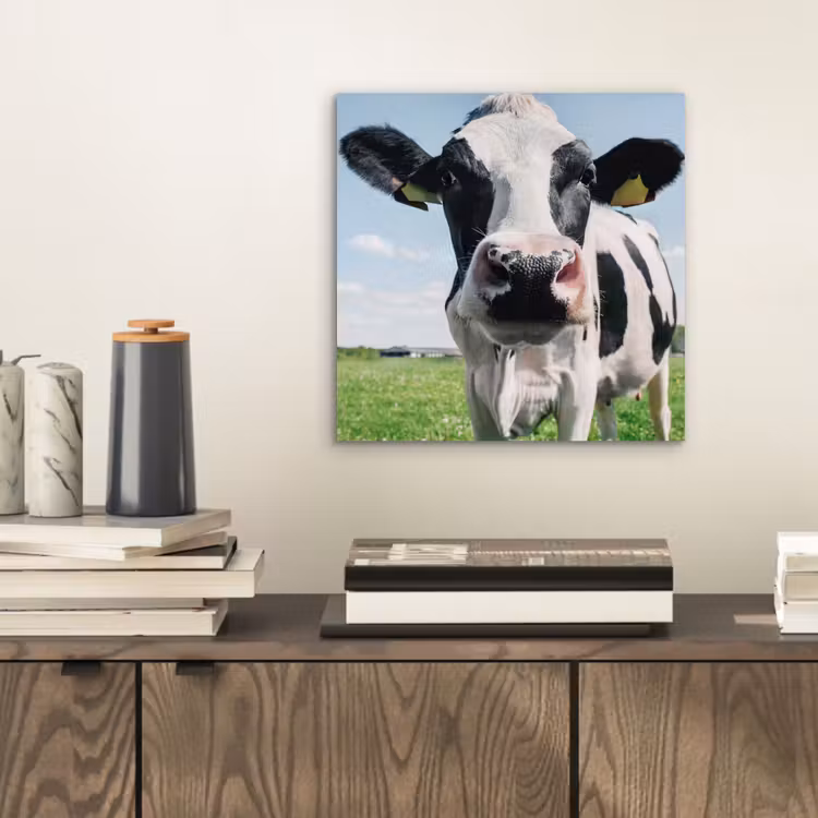 Koe - Weiland - Natuur - Dieren - Gras aluminium wit klein -sfeer1