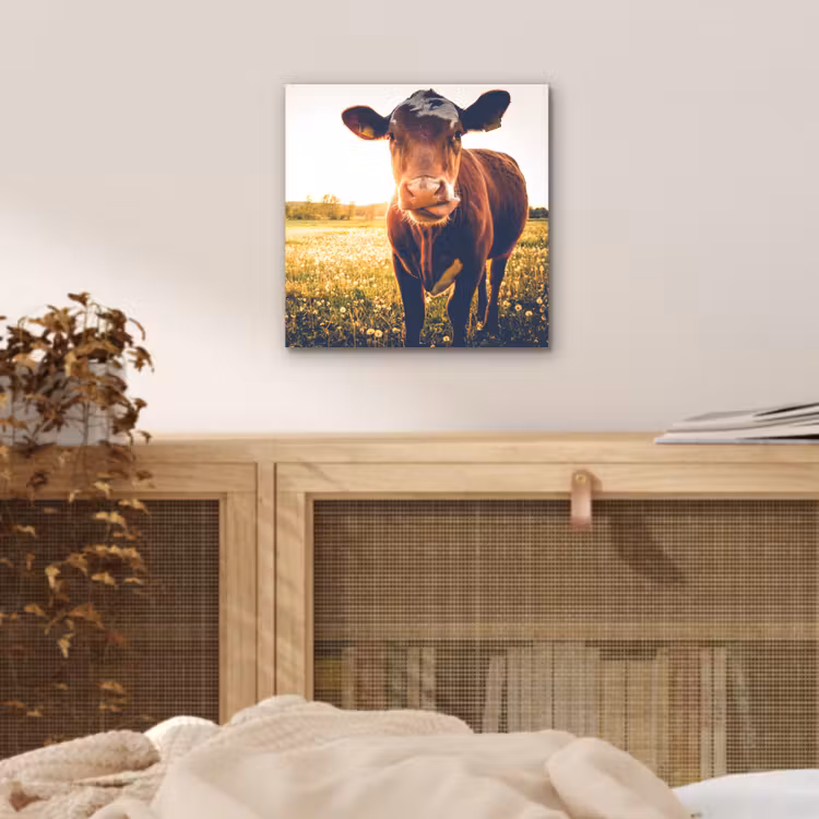 Koe - Zonsondergang - Bloemen - Gras - Dieren aluminium wit klein -sfeer3