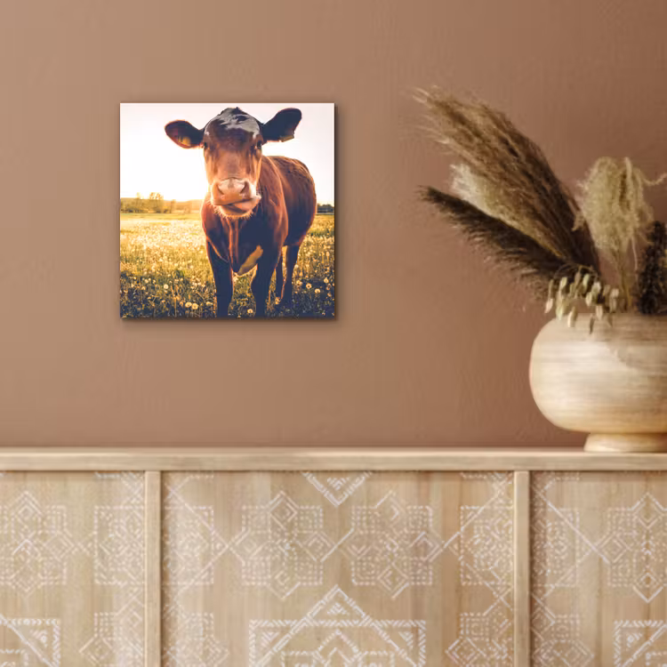 Koe - Zonsondergang - Bloemen - Gras - Dieren aluminium wit klein -sfeer4