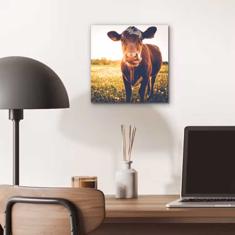 Koe - Zonsondergang - Bloemen - Gras - Dieren aluminium wit klein -sfeer5